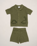 Knit Dinosaur Set